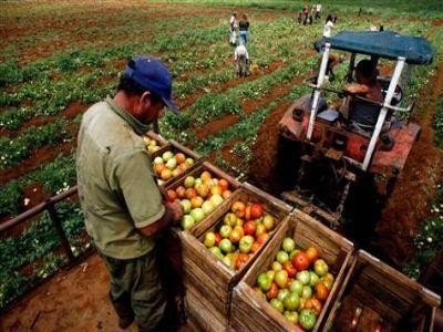 Ce beneficii vor avea fermierii care se inscriu in Uniunea Nationala a Cooperativelor Agricole de Productie Integrata