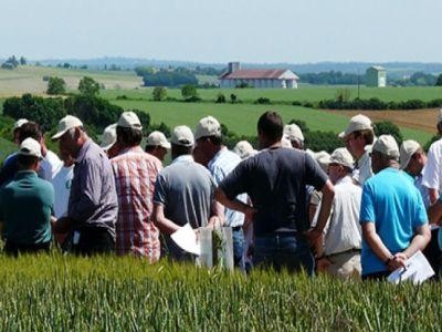 Producatorii de fructe si legume, incurajati sa se asocieze pentru a accesa fonduri europene