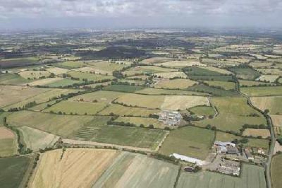 Cooperativele agricole romanesti sunt inca intr-un stadiu incipient