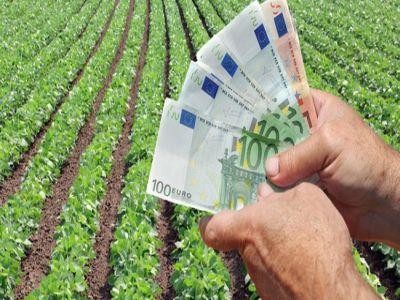 AFIR a publicat lista bancilor care ofera creditare pentru proiectele prin PNDR