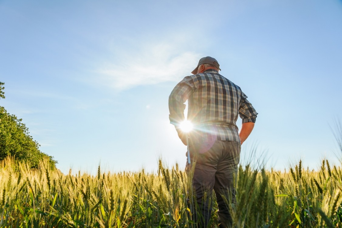 De la ferma mica la exploatatie competitiva: strategii de crestere graduala cand esti cultivator de cereale, in era digitala