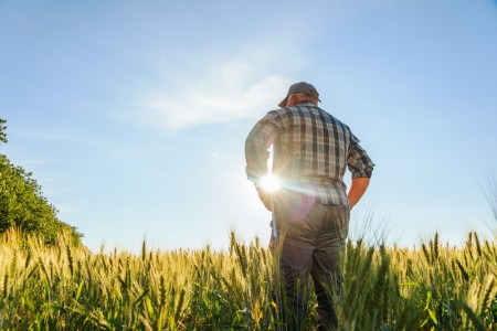 De la ferma mica la exploatatie competitiva: strategii de crestere graduala cand esti cultivator de cereale, in era digitala