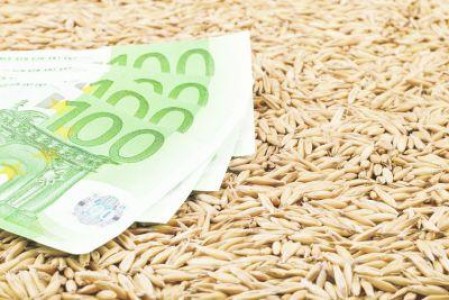 Creditare: A fost aprobata prima unica de garantare aplicata pentru 2014