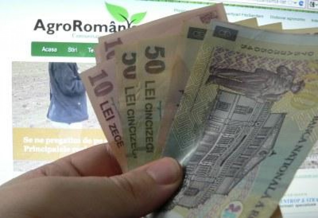 Creditele acordate agriculturii sunt in crestere