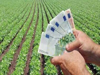 Credite de 1,4 milioane de euro, accesate de fermieri din banii de la Fondul European de Investitii