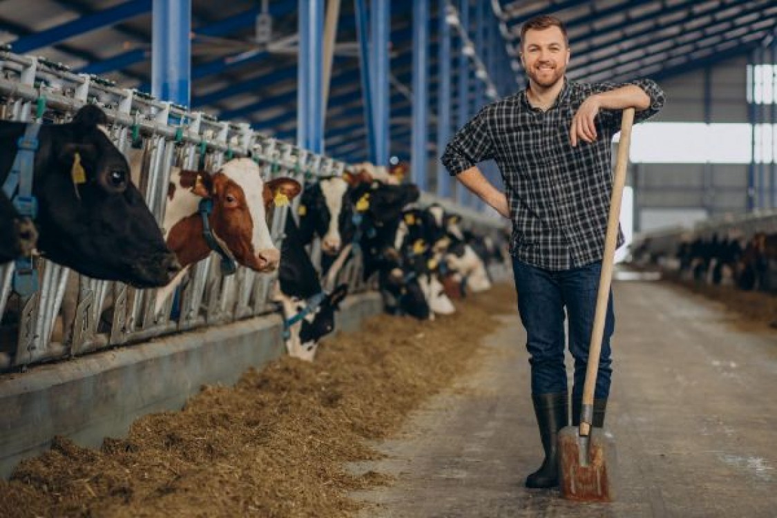 APIA: Sprijin financiar de 3 milioane de lei pentru crescatorii de animale