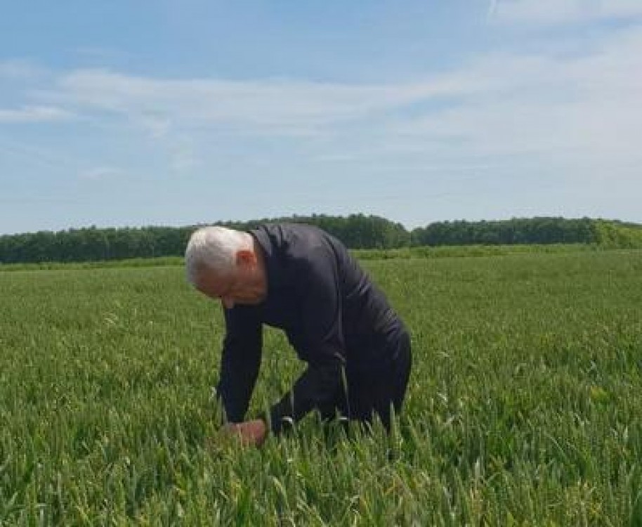 Fost ministru: Criza alimentara bate la usa