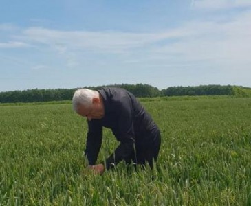 Fost ministru: Criza alimentara bate la usa