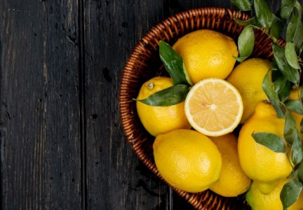 Cultivarea lamaiului la tine acasa