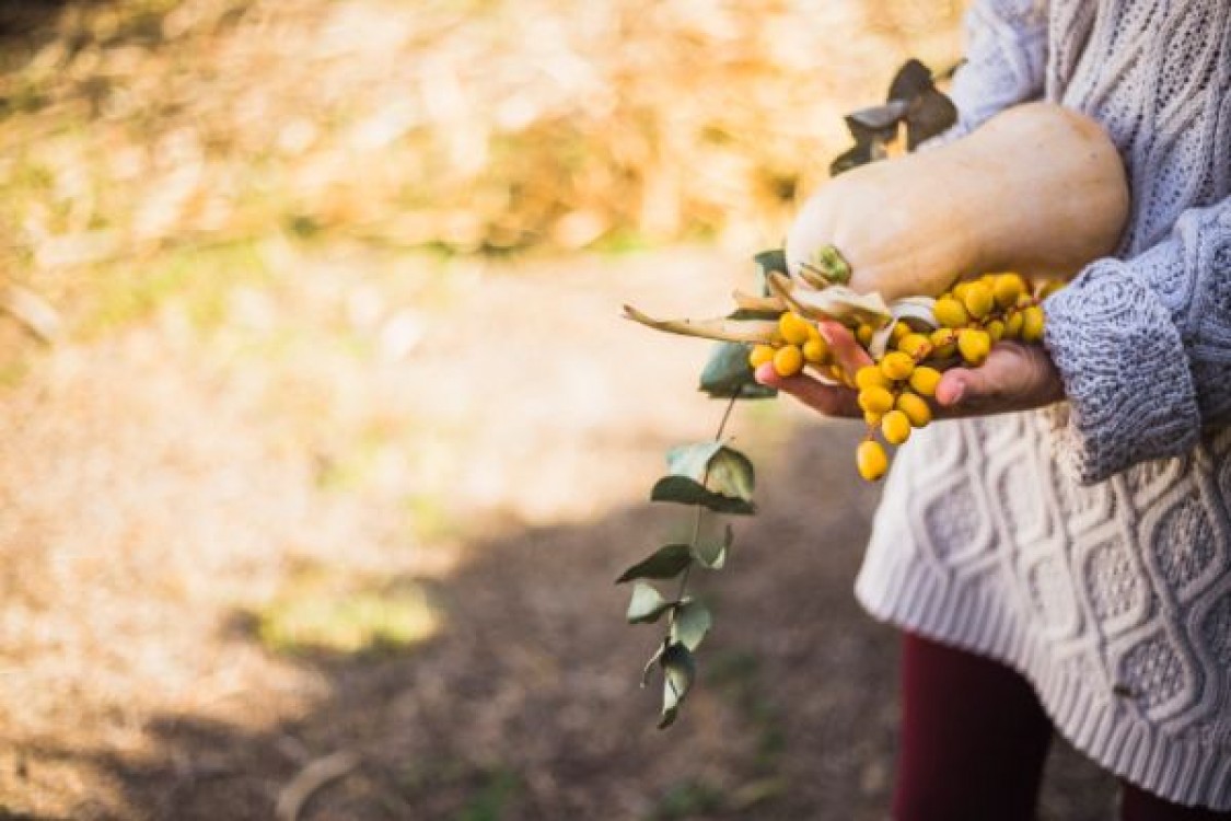 Ministrul Agriculturii: Ordonanta despagubirilor este scrisa