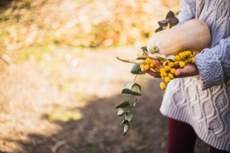 Ministrul Agriculturii: Ordonanta despagubirilor este scrisa