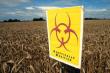 Raport EFSA: Reziduurile de pesticide din alimente raman la un nivel de peste 97% pentru al treilea an consecutiv