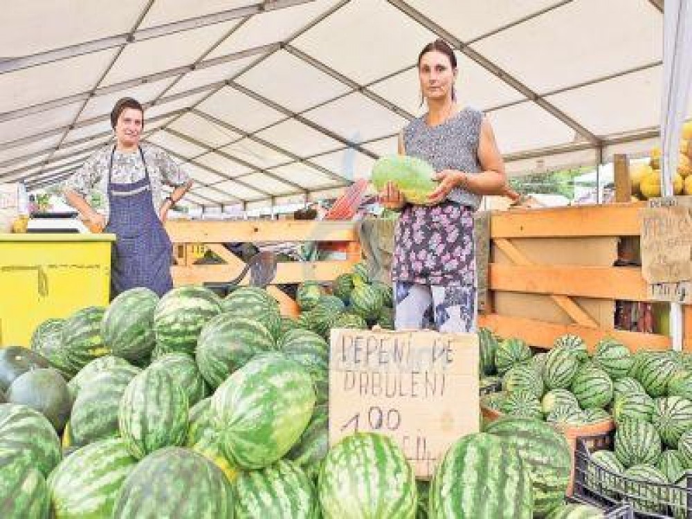 Producatorii de pepeni din Dabuleni si-au facut cooperativa