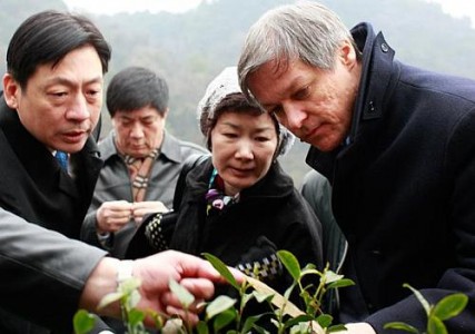 Comisia Europeană anunţă încheierea perioadei de tranziţie pentru înregistrarea medicamentelor tradiţionale pe bază de plante