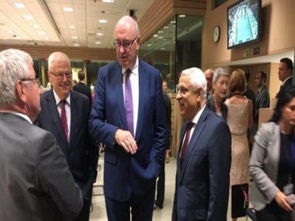 Romania a solicitat ajutor de la Bruxelles pentru fermierii afectati de pesta porcina Africana