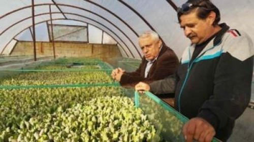 Avansurile pentru subventii au fost platite in proportie de aproape 80 la suta