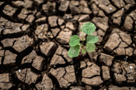 Un nou sprijin de la UE pentru seceta din 2022