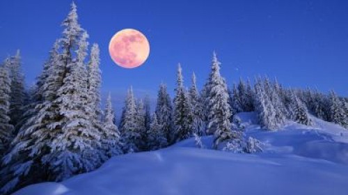 Buletin agrometeorologic pentru perioada 21-25 decembrie