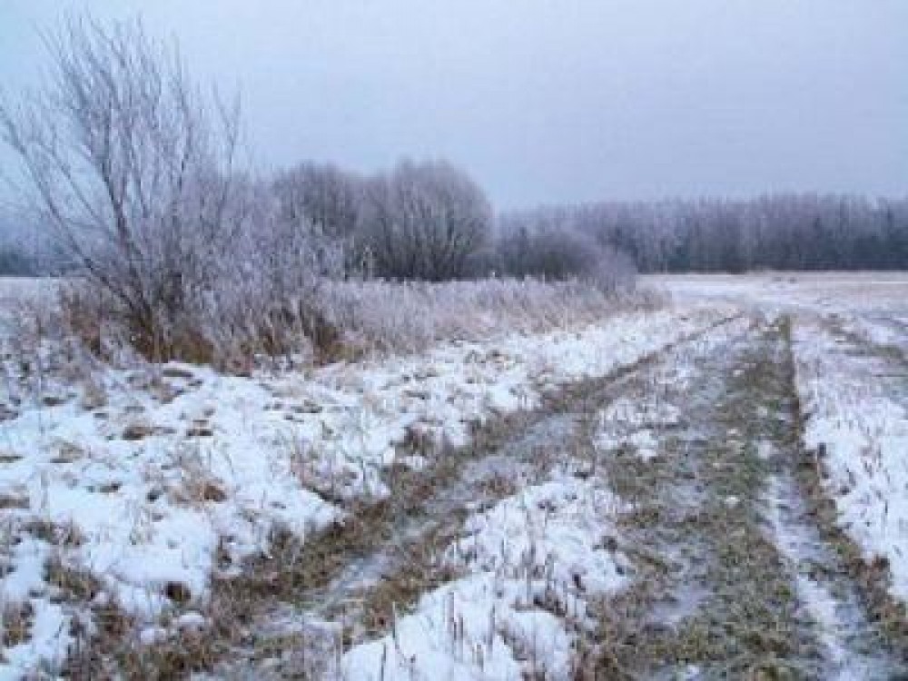 Cum va fi luna decembrie din punct de vedere agrometeorologic