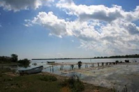 Piscicultorii din Delta Dunarii doresc aceleasi conditii de sprijin ca cele pentru sectorul zootehnic si vegetal