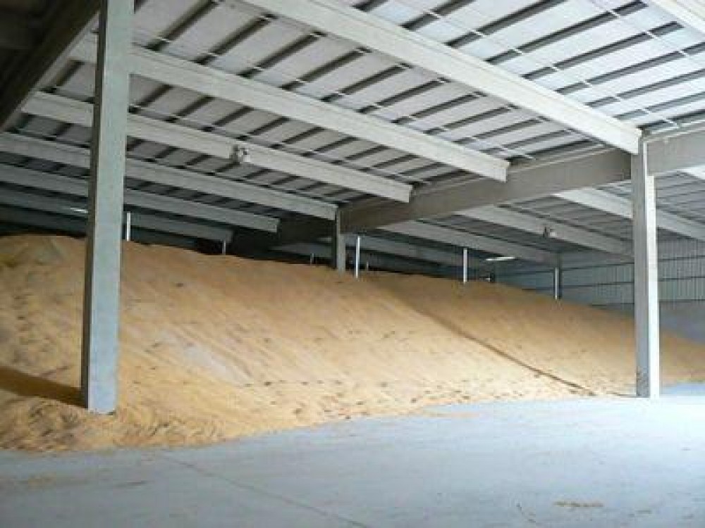 Tratamente fitosanitare pentru combaterea daunatorilor de depozit