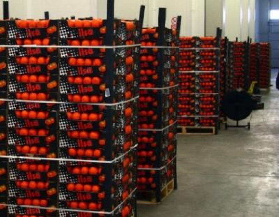 Controale in depozitele de legume-fructe din estul Capitalei