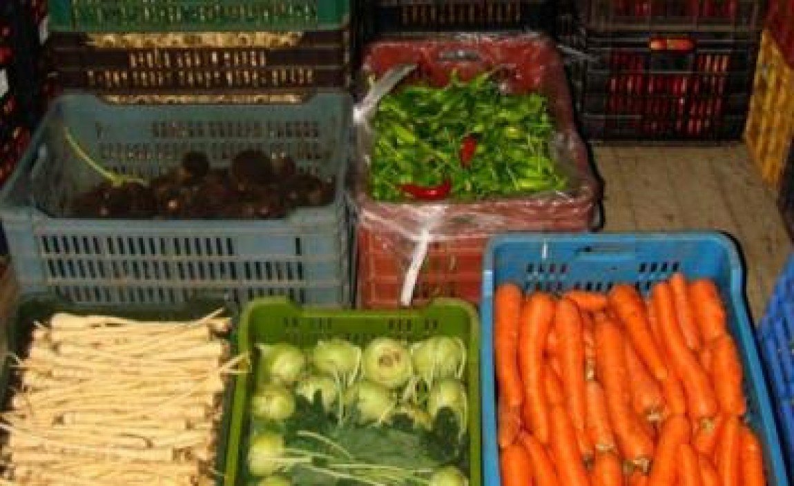 Anul acesta se pun bazele mult discutatelor si vremelnic anuntatelor depozite de legume fructe