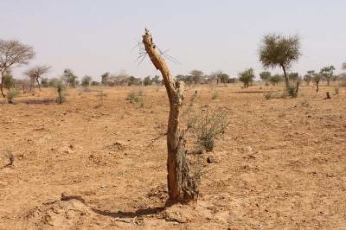Romania, una dintre tarile UE cele mai afectate de desertificare