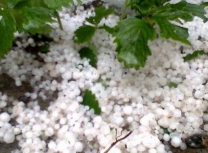Fondul mutual Pro Agro va fi acreditat la sfarsitul acestui an