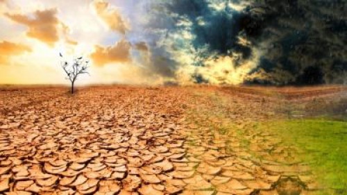 APIA: Aproape 10.000 de fermieri au solicitat despagubiri pentru seceta in doar o zi