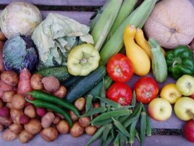 Legumicultorii din asociatiile de producatori pot solicita despagubiri
