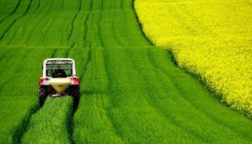 Doar avantaje? Ce presupune digitalizarea agriculturii