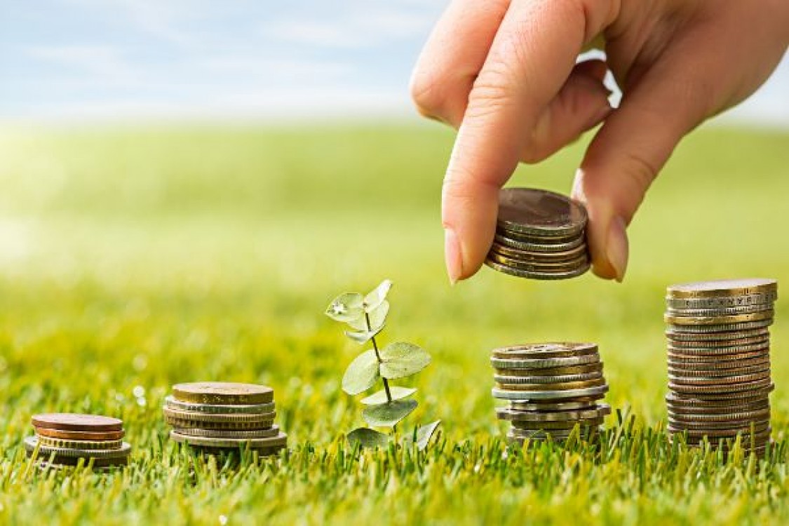 Tinerii fermieri cer infiintarea unei noi meserii in agricultura