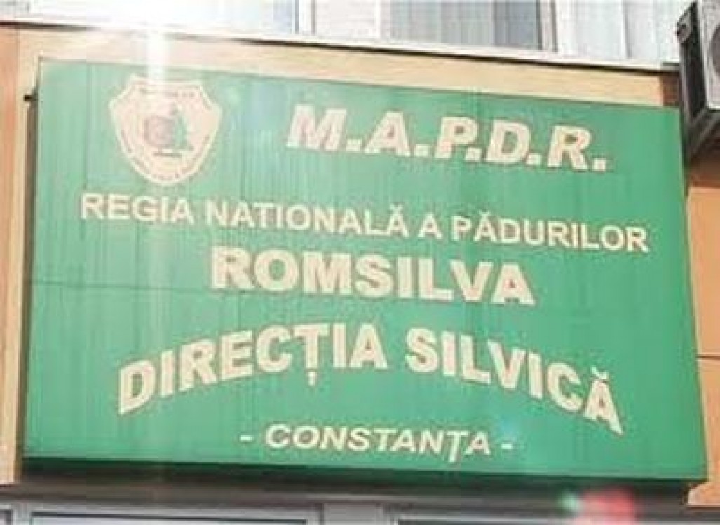 Constanta: Licitatie pentru vanzarea de cabaline