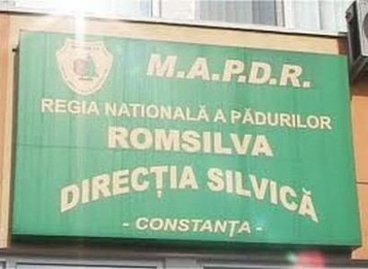 Constanta: Licitatie pentru vanzarea de cabaline