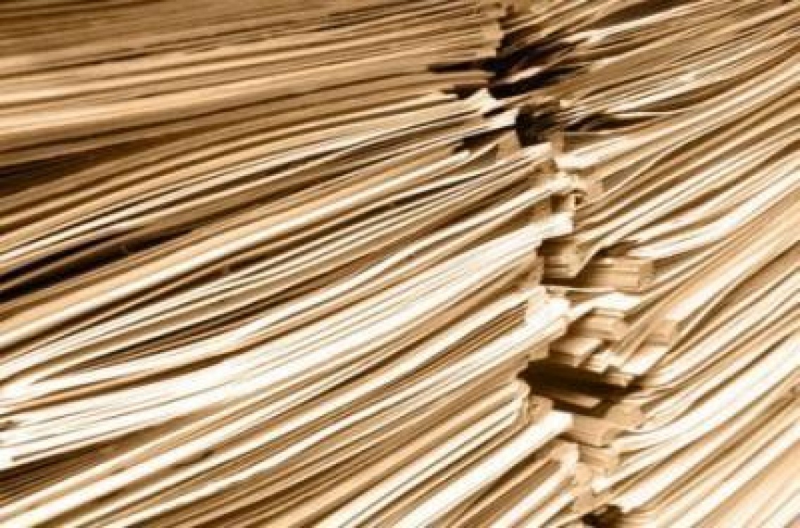 Rapoarte suplimentare de selectie, publicate de APDRP