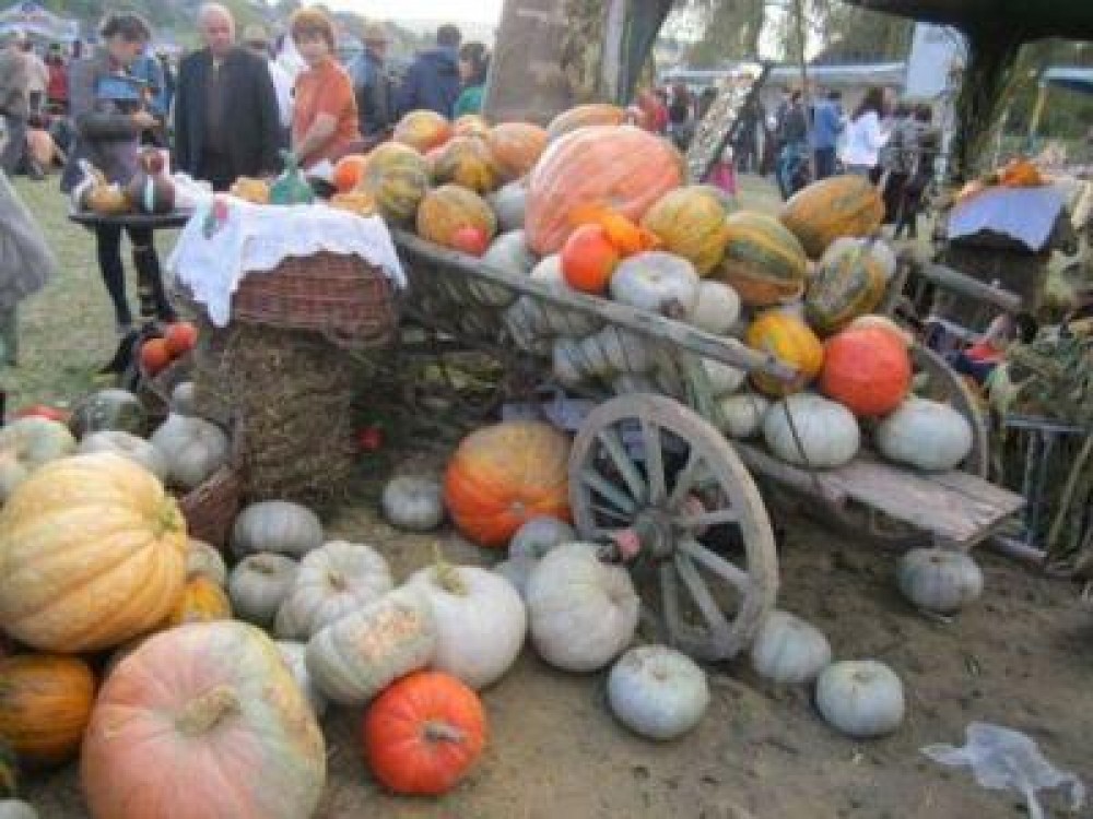 Festivalul Dovleacului de la Posta Calnau, eveniment unic in tara