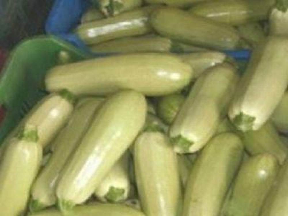 Dovlecei din Turcia, contaminati cu pesticide