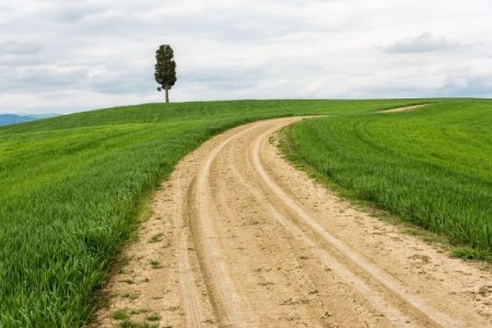 AFIR: Primariile din mediul rural vor primi 1 milion de euro