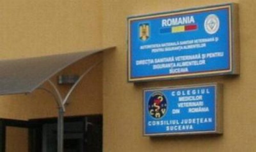 Suceava: Controale ale DSVSA la comerciantii de miei si carne de miel