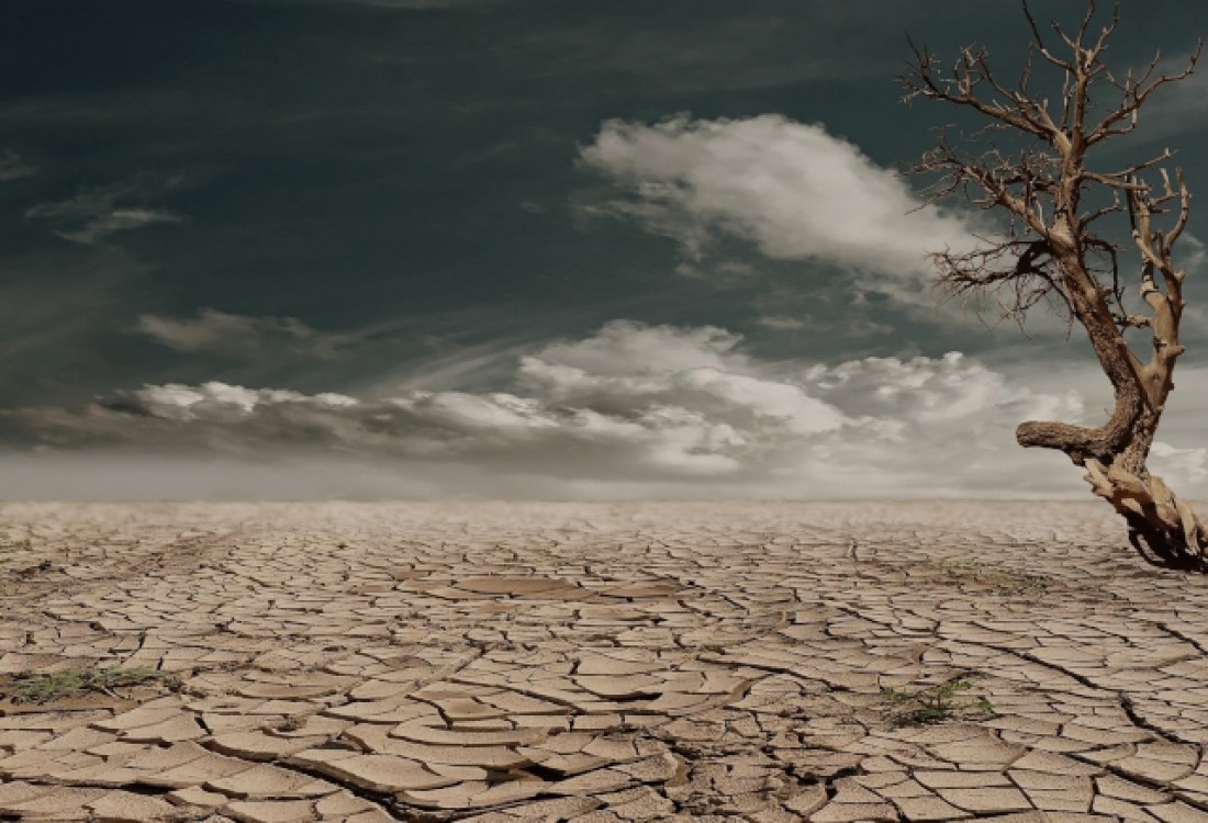 Impactul schimbarilor climatice asupra agriculturii