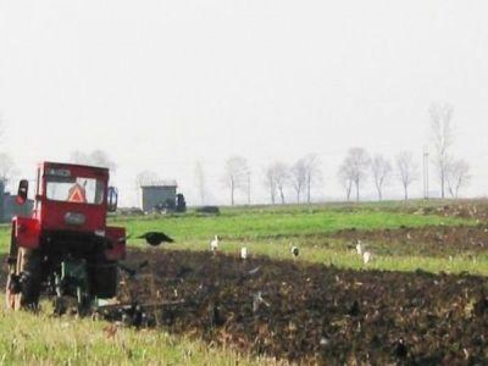 Care sunt noile norme de ecoconditionalitate ce trebuie respectate in acest an