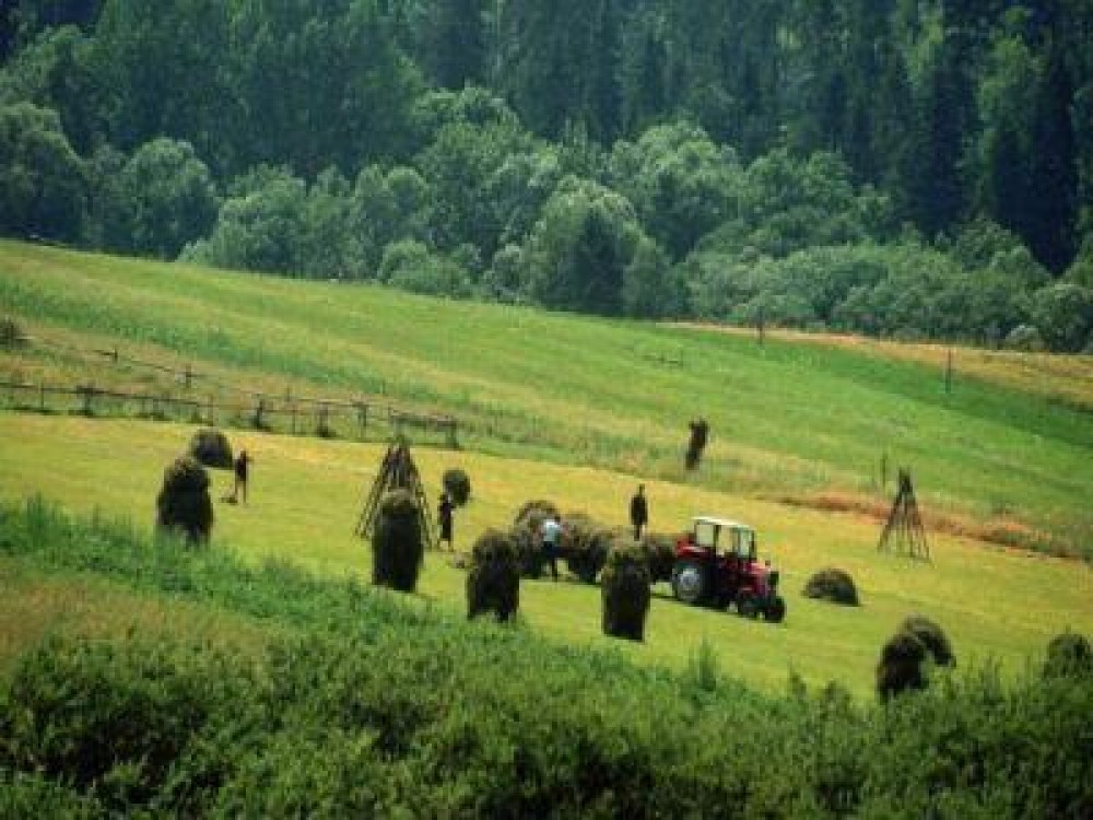 Cum se obtin ajutoarele de minimis pentru agricultura ecologica