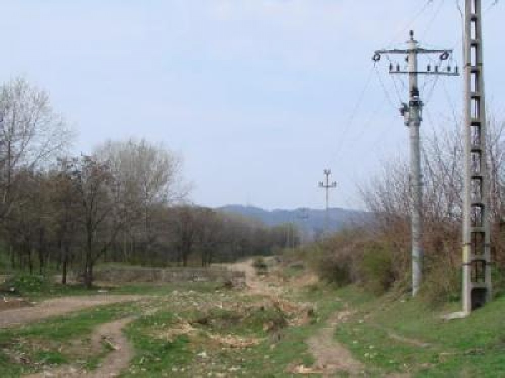 Guvernul si-a propus electrificarea tuturor satelor, intr-un termen de patru ani