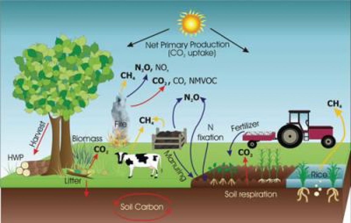 FAO avertizeaza: Agricultura produce din ce in ce mai multe gaze cu efect de sera