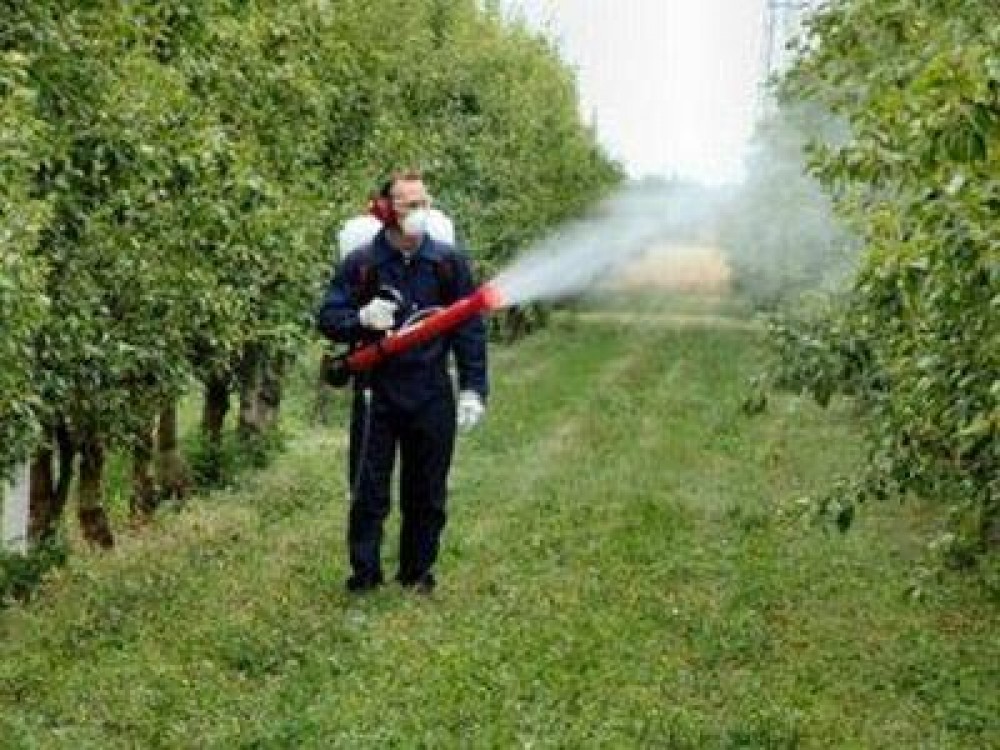 Recomandari pentru folosirea corecta a erbicidelor