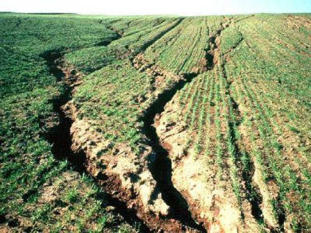 Eroziunea distruge anual 100 de milioane de tone de sol fertil