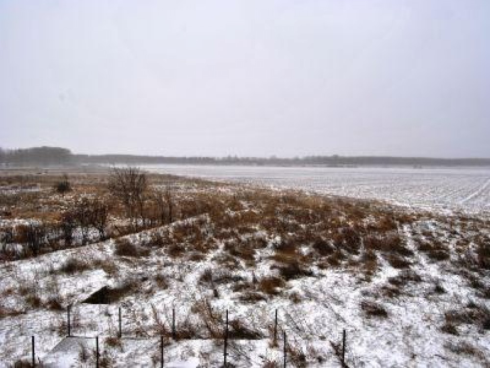 MADR: Saptamana viitoare se fac primele evaluari ale pagubelor produse de vremea rece