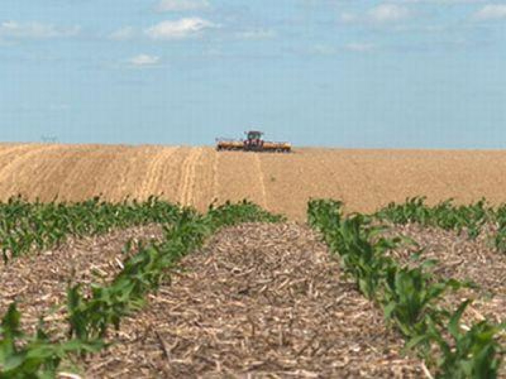 Numarul exploatatiilor agricole din Romania in scadere in ultimii ani