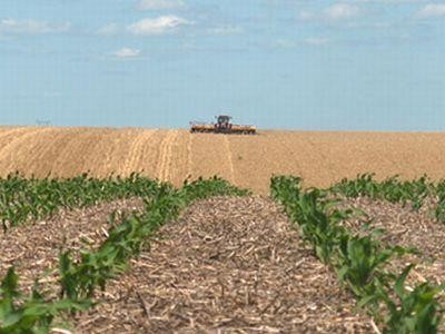 Prima de 1.500 de euro pe an pentru fermierii care isi cedeaza exploatatiile agricole